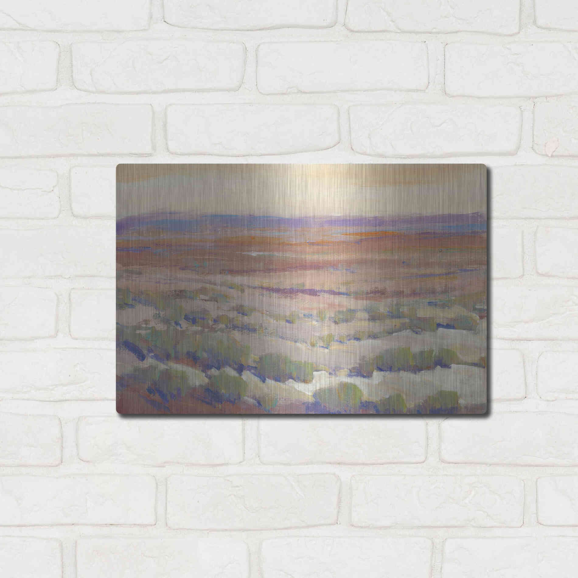 Luxe Metal Art 'High Desert Pastels II' by Tim O'Toole, Metal Wall Art,16x12