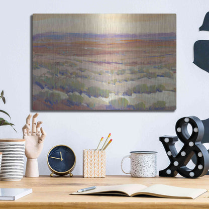 Luxe Metal Art 'High Desert Pastels II' by Tim O'Toole, Metal Wall Art,16x12