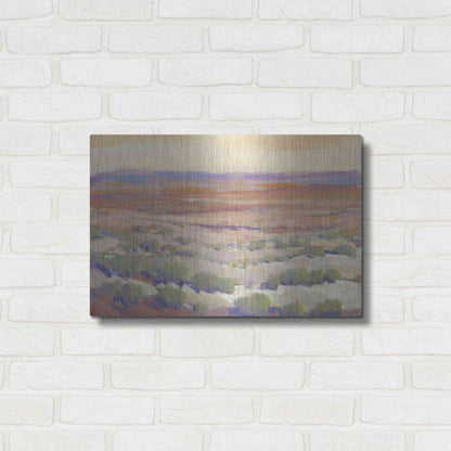 Luxe Metal Art 'High Desert Pastels II' by Tim O'Toole, Metal Wall Art,24x16