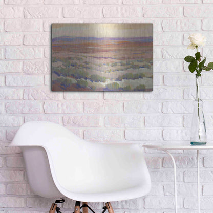 Luxe Metal Art 'High Desert Pastels II' by Tim O'Toole, Metal Wall Art,24x16