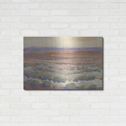 Luxe Metal Art 'High Desert Pastels II' by Tim O'Toole, Metal Wall Art,36x24
