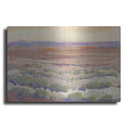 Luxe Metal Art 'High Desert Pastels II' by Tim O'Toole, Metal Wall Art
