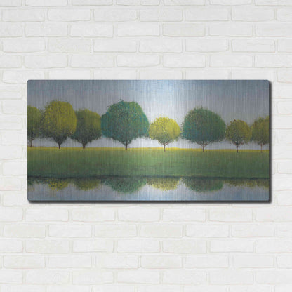 Luxe Metal Art 'Trees in a Line I' by Tim O'Toole, Metal Wall Art,48x24