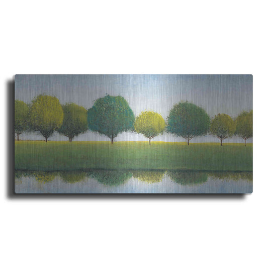 Luxe Metal Art 'Trees in a Line I' by Tim O'Toole, Metal Wall Art