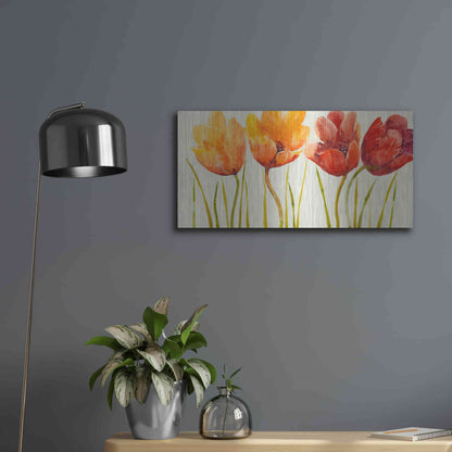 Luxe Metal Art 'Row of Tulips I' by Tim O'Toole, Metal Wall Art,24x12