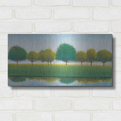 Luxe Metal Art 'Trees in a Line II' by Tim O'Toole, Metal Wall Art,24x12