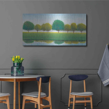 Luxe Metal Art 'Trees in a Line II' by Tim O'Toole, Metal Wall Art,48x24