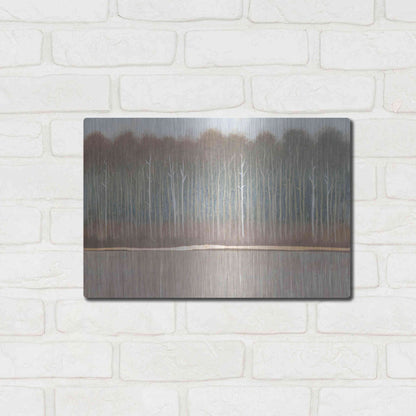 Luxe Metal Art 'Along the River Bank II' by Tim O'Toole, Metal Wall Art,16x12