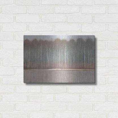 Luxe Metal Art 'Along the River Bank II' by Tim O'Toole, Metal Wall Art,24x16