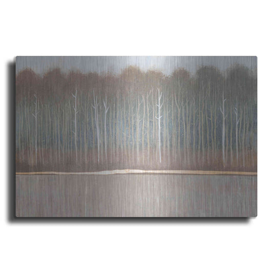 Luxe Metal Art 'Along the River Bank II' by Tim O'Toole, Metal Wall Art