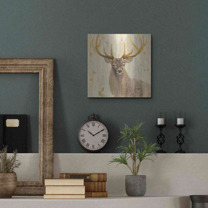 Luxe Metal Art 'Forest King' by Albena Hristova, Metal Wall Art,12x12