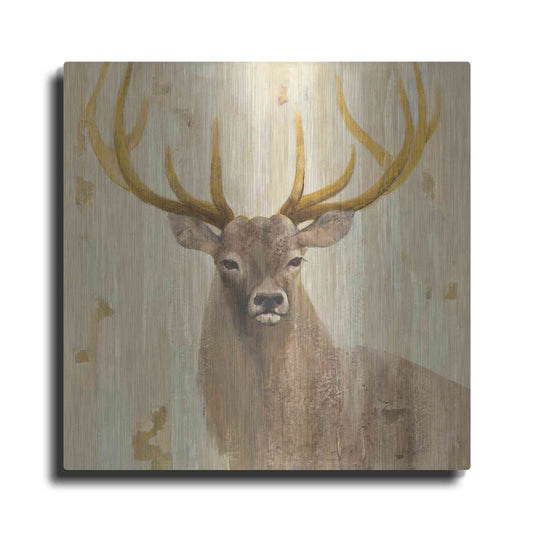 Luxe Metal Art 'Forest King' by Albena Hristova, Metal Wall Art