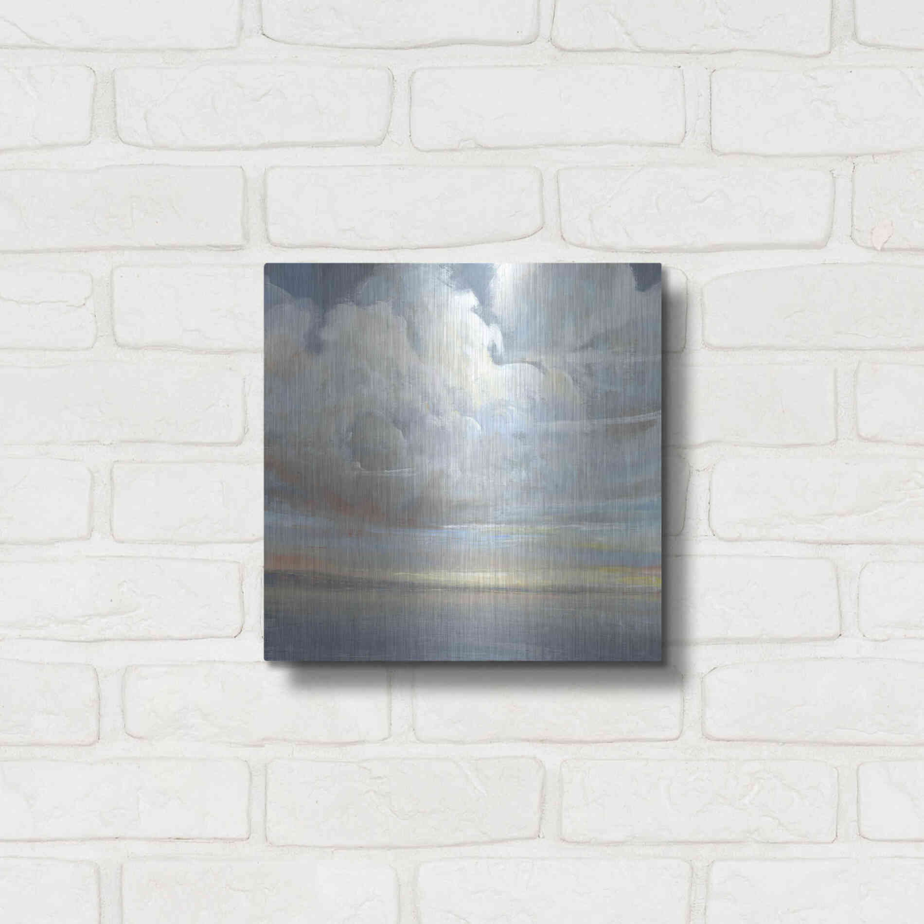 Luxe Metal Art 'Passing Storm II' by Tim O'Toole, Metal Wall Art,12x12