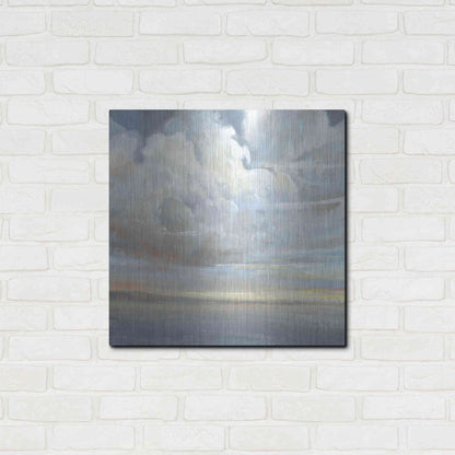 Luxe Metal Art 'Passing Storm II' by Tim O'Toole, Metal Wall Art,24x24