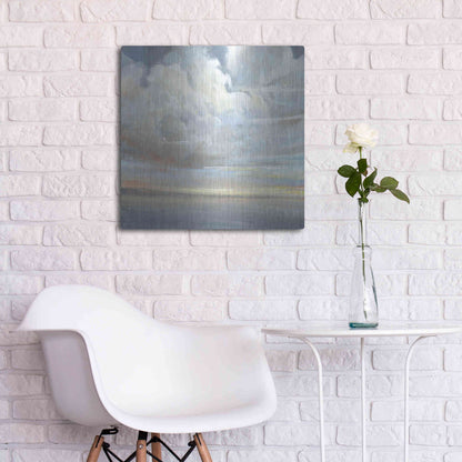 Luxe Metal Art 'Passing Storm II' by Tim O'Toole, Metal Wall Art,24x24