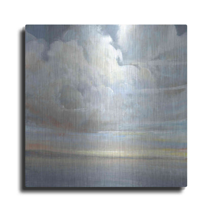 Luxe Metal Art 'Passing Storm II' by Tim O'Toole, Metal Wall Art