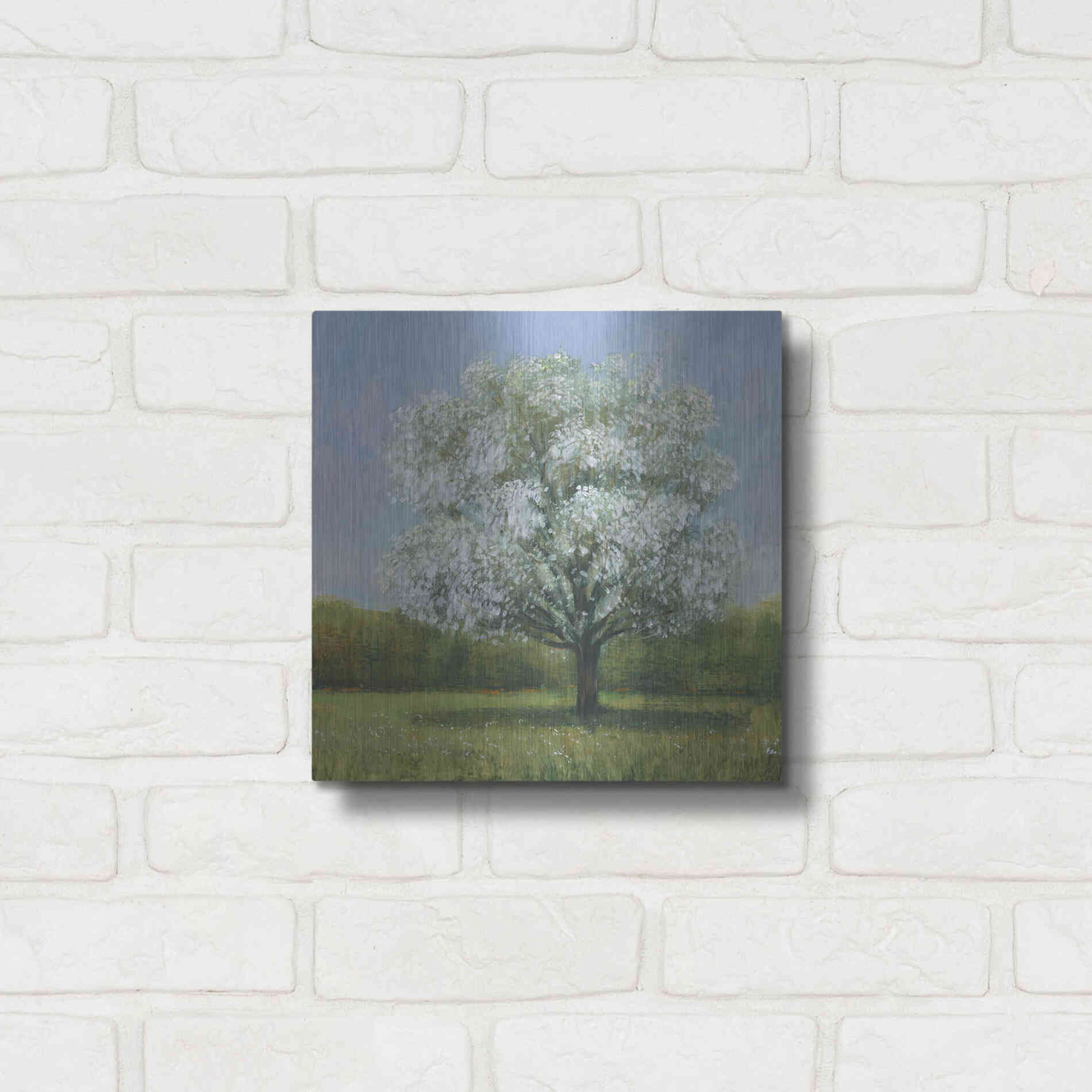 Luxe Metal Art 'Spring Blossom Tree II' by Tim O'Toole, Metal Wall Art,12x12