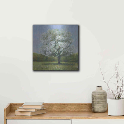 Luxe Metal Art 'Spring Blossom Tree II' by Tim O'Toole, Metal Wall Art,12x12