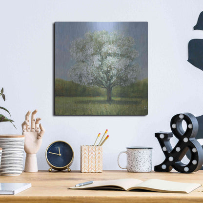Luxe Metal Art 'Spring Blossom Tree II' by Tim O'Toole, Metal Wall Art,12x12