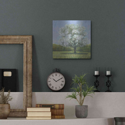 Luxe Metal Art 'Spring Blossom Tree II' by Tim O'Toole, Metal Wall Art,12x12