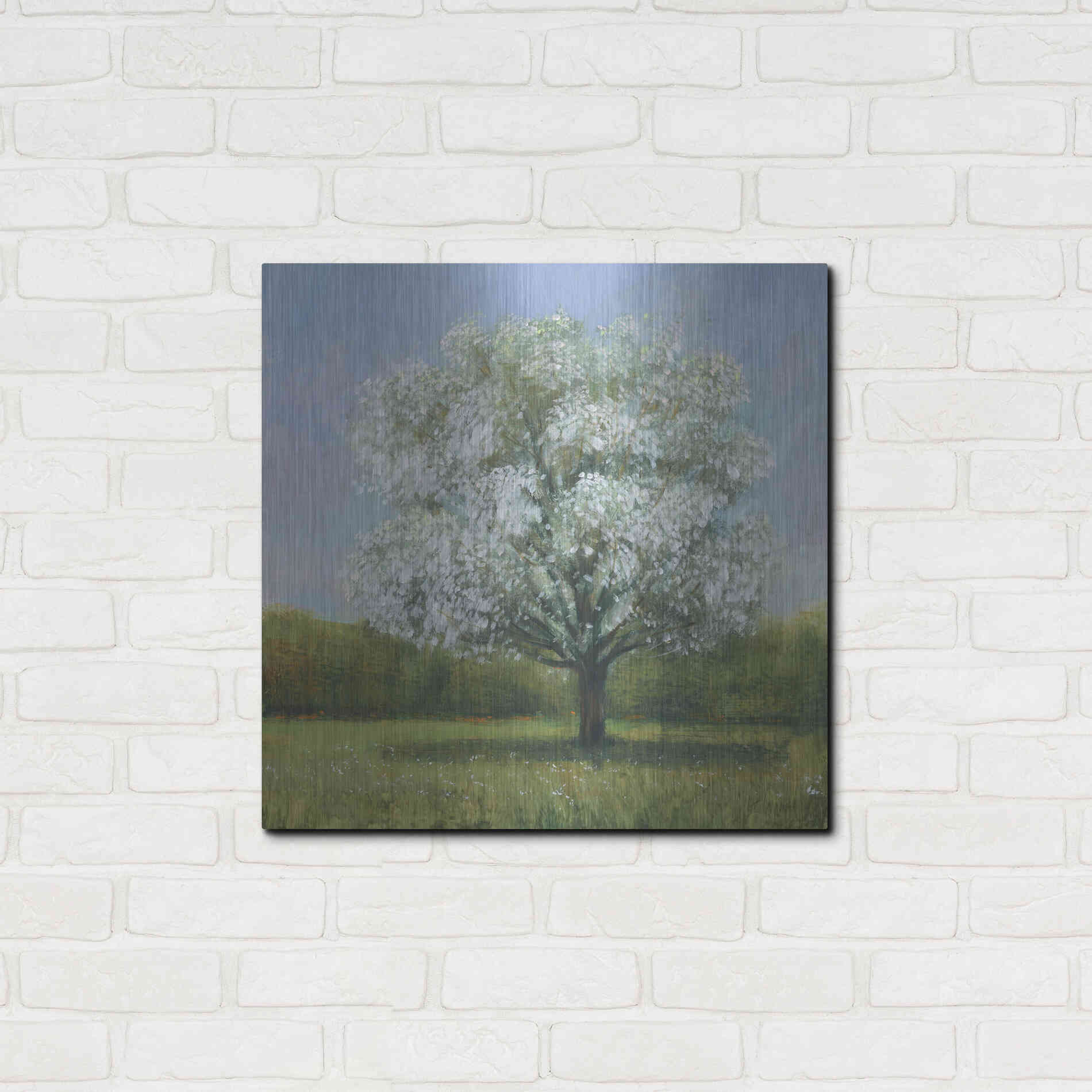 Luxe Metal Art 'Spring Blossom Tree II' by Tim O'Toole, Metal Wall Art,24x24