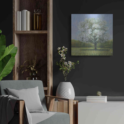 Luxe Metal Art 'Spring Blossom Tree II' by Tim O'Toole, Metal Wall Art,24x24
