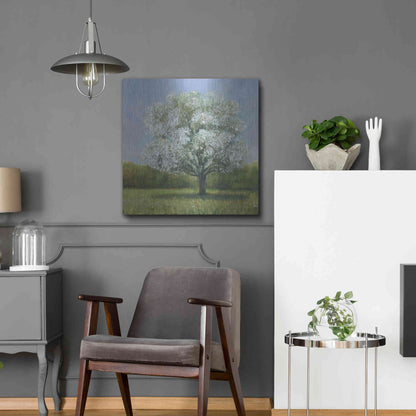 Luxe Metal Art 'Spring Blossom Tree II' by Tim O'Toole, Metal Wall Art,24x24