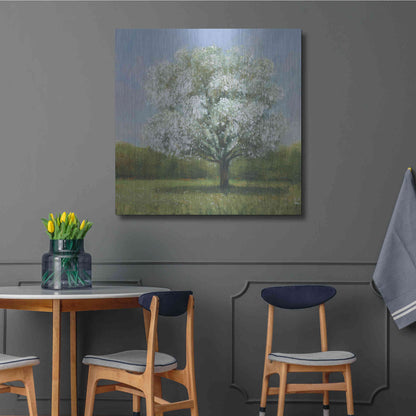 Luxe Metal Art 'Spring Blossom Tree II' by Tim O'Toole, Metal Wall Art,36x36