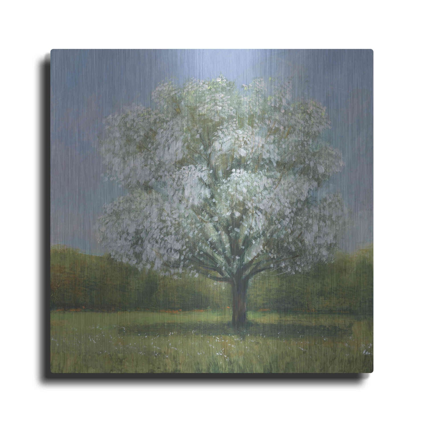 Luxe Metal Art 'Spring Blossom Tree II' by Tim O'Toole, Metal Wall Art