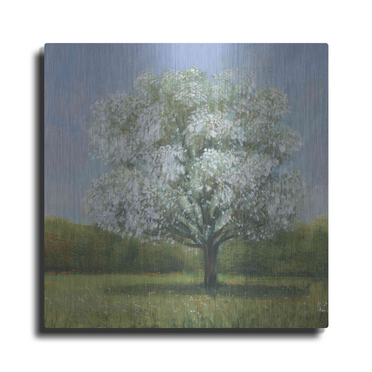 Luxe Metal Art 'Spring Blossom Tree II' by Tim O'Toole, Metal Wall Art