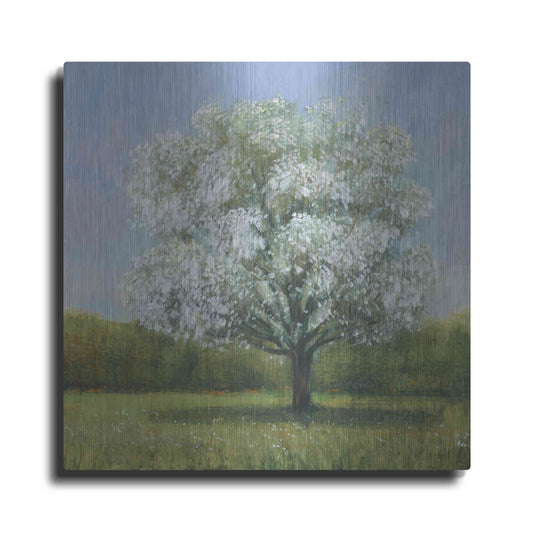 Luxe Metal Art 'Spring Blossom Tree II' by Tim O'Toole, Metal Wall Art