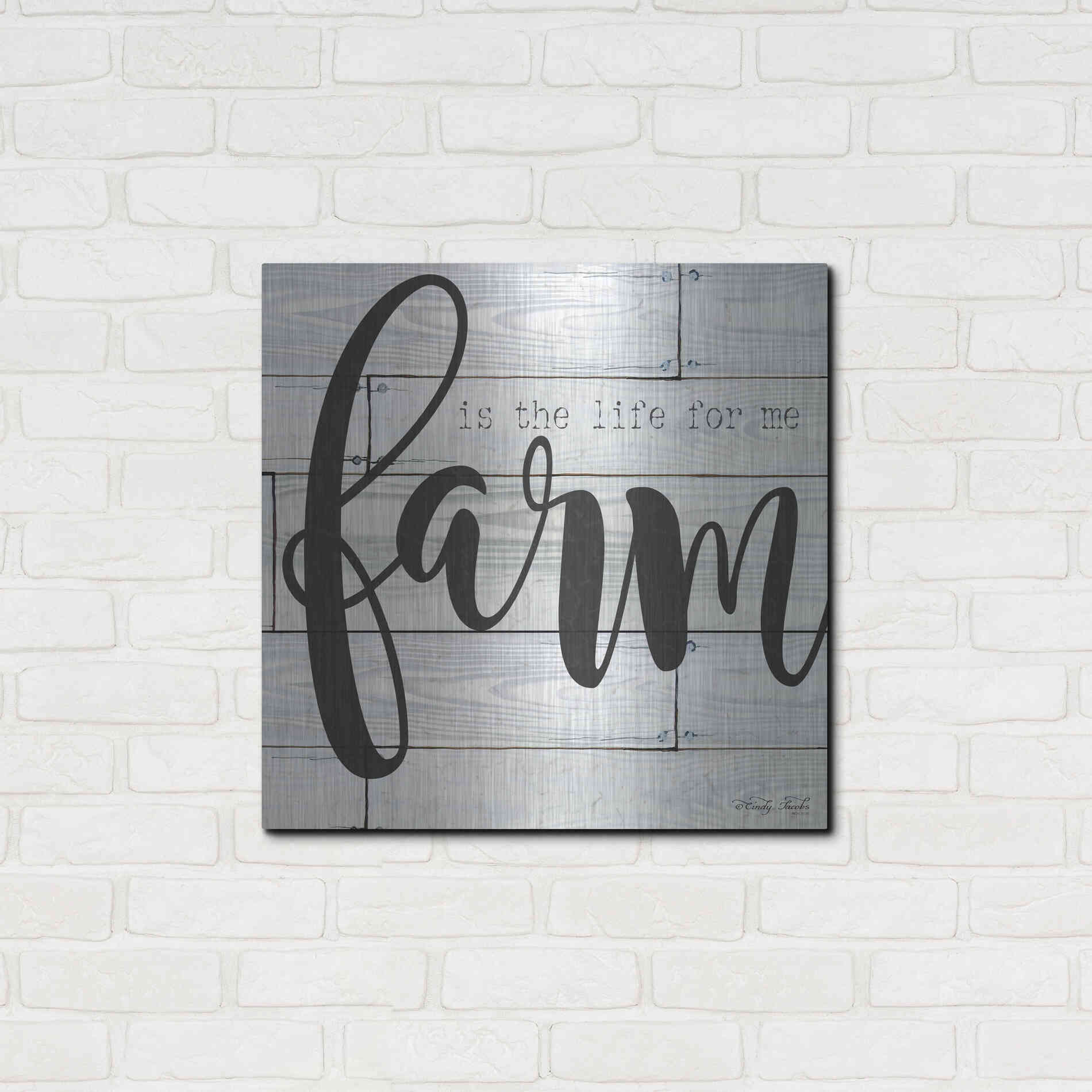 Luxe Metal Art 'Farm is the Life for Me' by Cindy Jacobs, Metal Wall Art,24x24