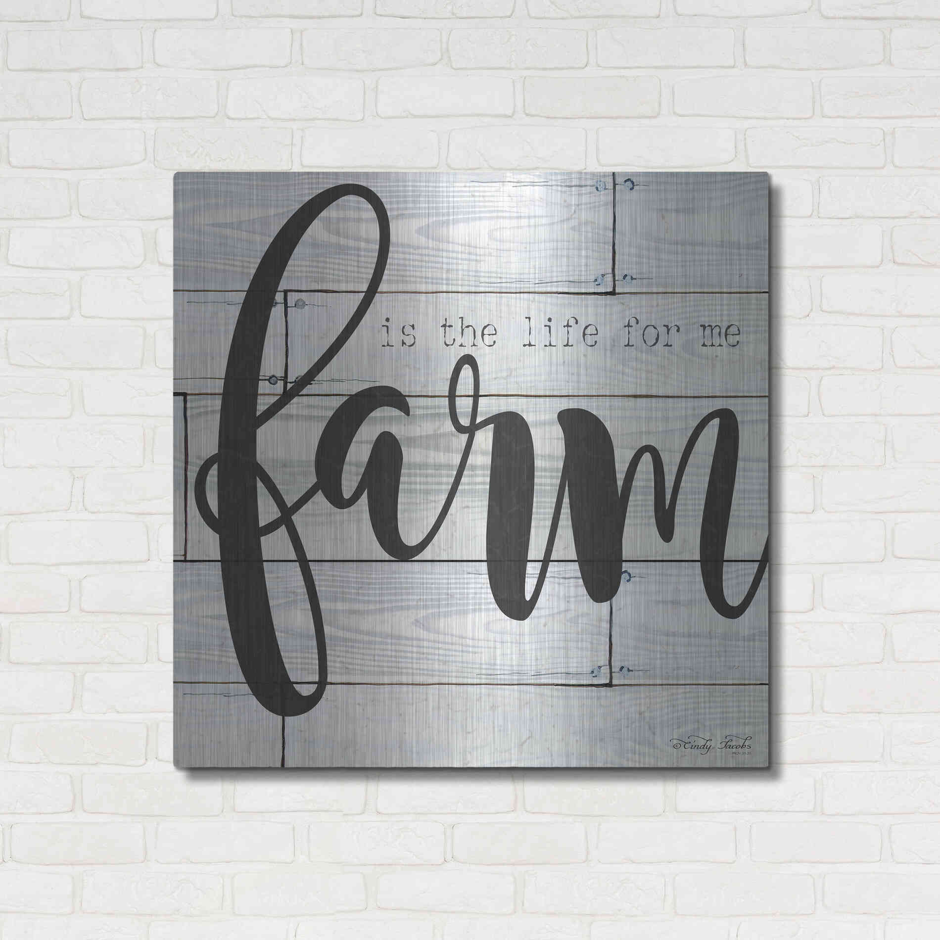 Luxe Metal Art 'Farm is the Life for Me' by Cindy Jacobs, Metal Wall Art,36x36