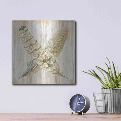 Luxe Metal Art 'Feathers Crossed I' by Cindy Jacobs, Metal Wall Art,12x12