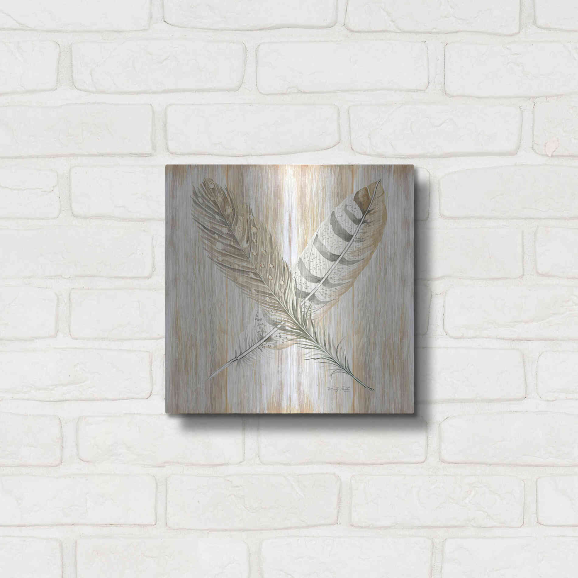 Luxe Metal Art 'Feathers Crossed II' by Cindy Jacobs, Metal Wall Art,12x12