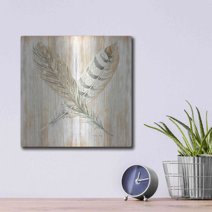 Luxe Metal Art 'Feathers Crossed II' by Cindy Jacobs, Metal Wall Art,12x12
