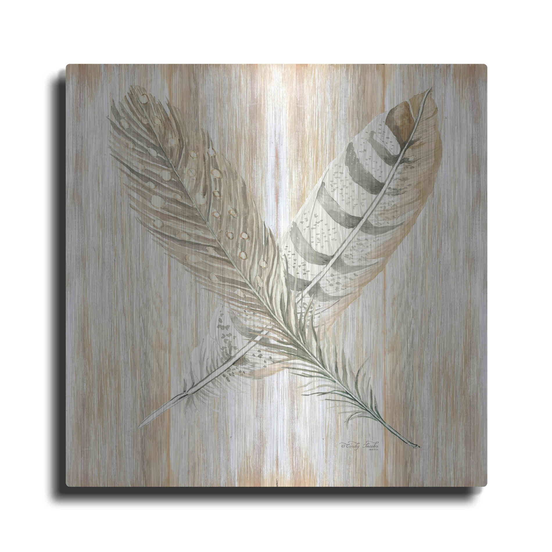 Luxe Metal Art 'Feathers Crossed II' by Cindy Jacobs, Metal Wall Art