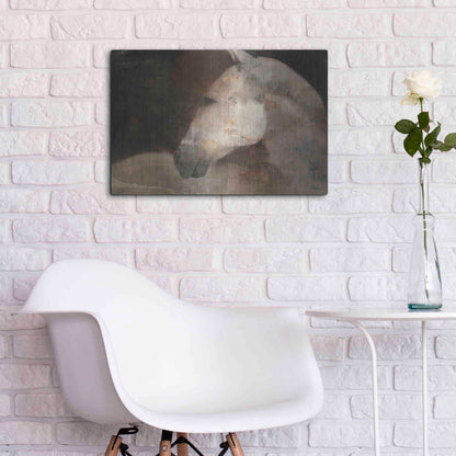 Luxe Metal Art 'Looking Back' by Albena Hristova, Metal Wall Art,24x16