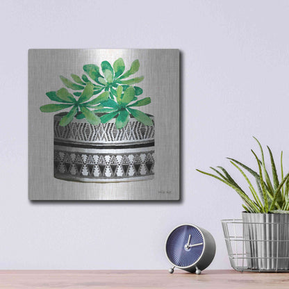 Luxe Metal Art 'Cactus Mud Cloth Vase II' by Cindy Jacobs, Metal Wall Art,12x12