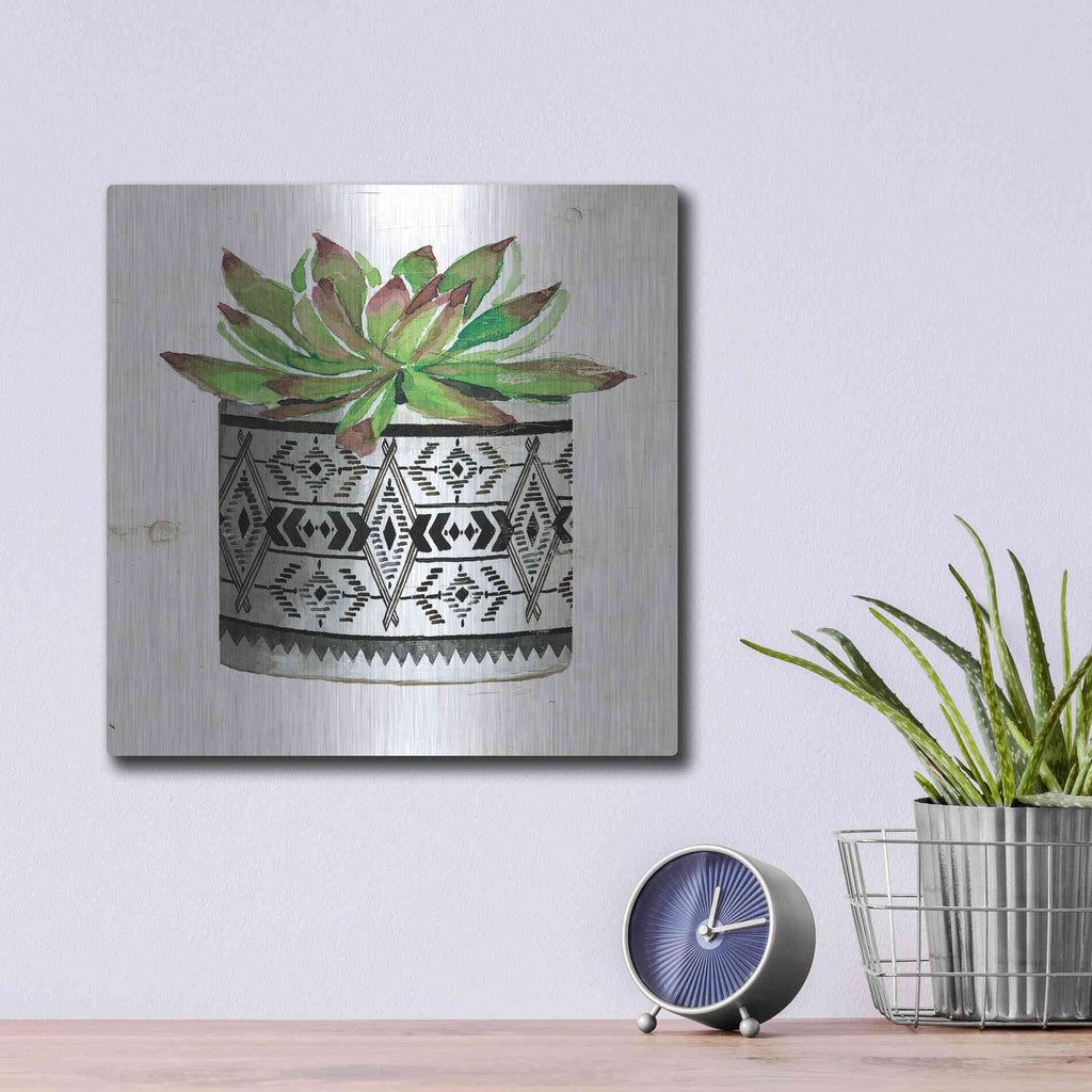 Luxe Metal Art 'Mud Cloth Succulent III' by Cindy Jacobs, Metal Wall Art,12x12