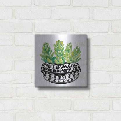 Luxe Metal Art 'Mud Cloth Succulent IV' by Cindy Jacobs, Metal Wall Art,12x12