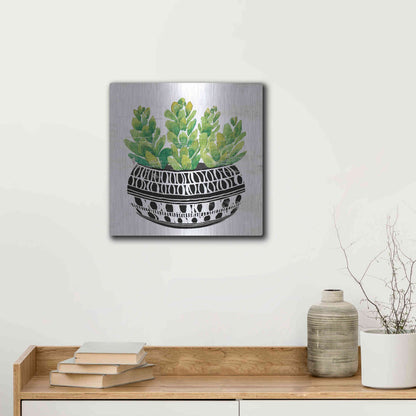 Luxe Metal Art 'Mud Cloth Succulent IV' by Cindy Jacobs, Metal Wall Art,12x12