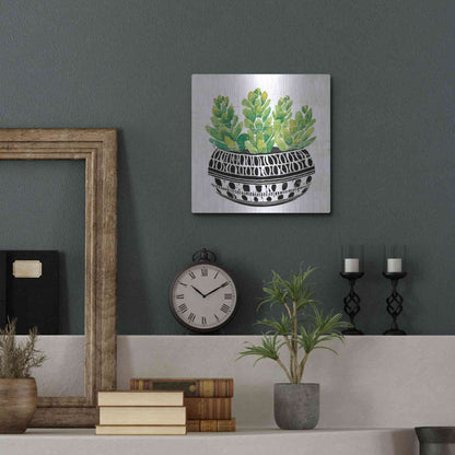 Luxe Metal Art 'Mud Cloth Succulent IV' by Cindy Jacobs, Metal Wall Art,12x12
