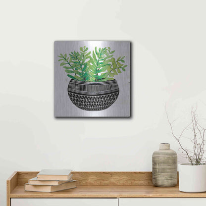 Luxe Metal Art 'Mud Cloth Succulent V' by Cindy Jacobs, Metal Wall Art,12x12