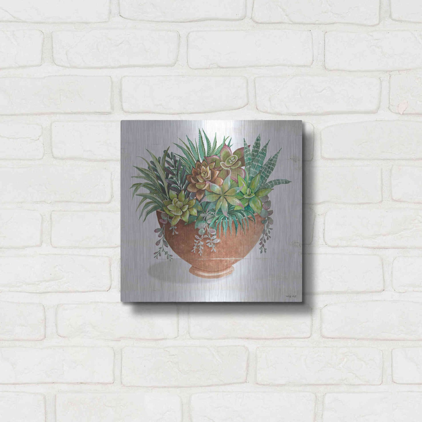 Luxe Metal Art 'Terracotta Succulents II' by Cindy Jacobs, Metal Wall Art,12x12