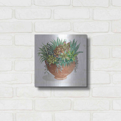 Luxe Metal Art 'Terracotta Succulents II' by Cindy Jacobs, Metal Wall Art,12x12