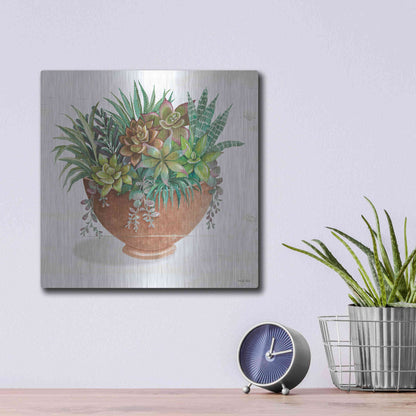 Luxe Metal Art 'Terracotta Succulents II' by Cindy Jacobs, Metal Wall Art,12x12