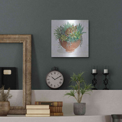 Luxe Metal Art 'Terracotta Succulents II' by Cindy Jacobs, Metal Wall Art,12x12