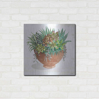 Luxe Metal Art 'Terracotta Succulents II' by Cindy Jacobs, Metal Wall Art,24x24