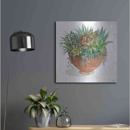Luxe Metal Art 'Terracotta Succulents II' by Cindy Jacobs, Metal Wall Art,24x24